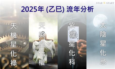 流年雙化忌|2025年，乙巳年，紫微斗數流年運勢分析，詳細介。